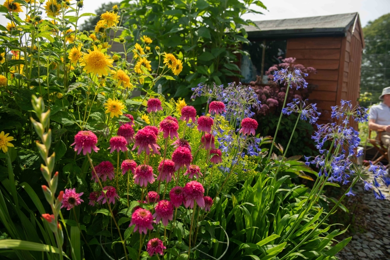 Grange Fell Allotments